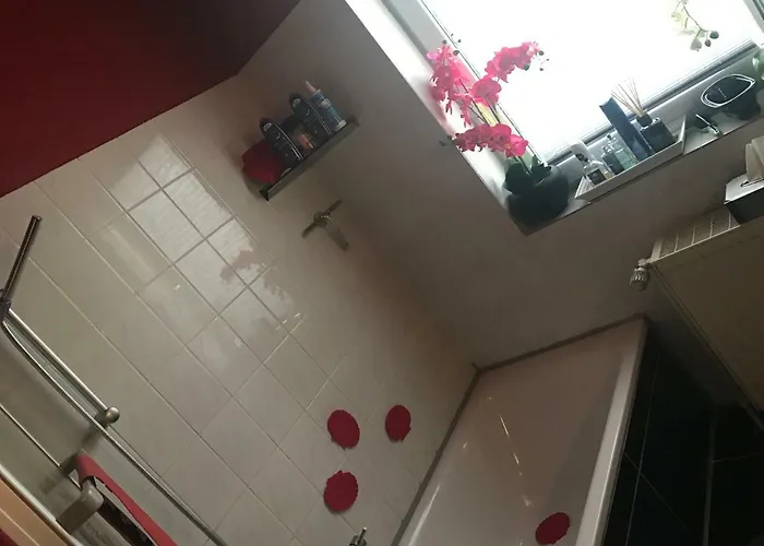 منزل للإقامة Messe &